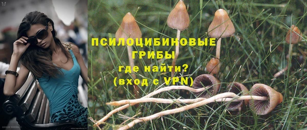 мдпв Арсеньев