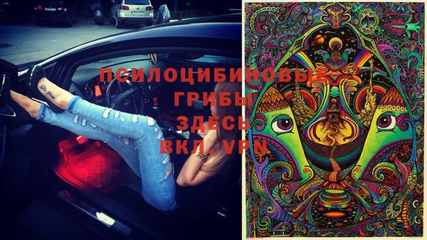 мдпв Арсеньев