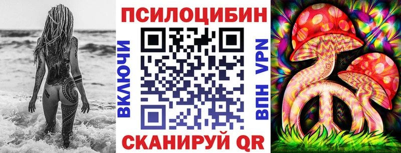 hydra вход  Гатчина  Псилоцибиновые грибы Magic Shrooms 